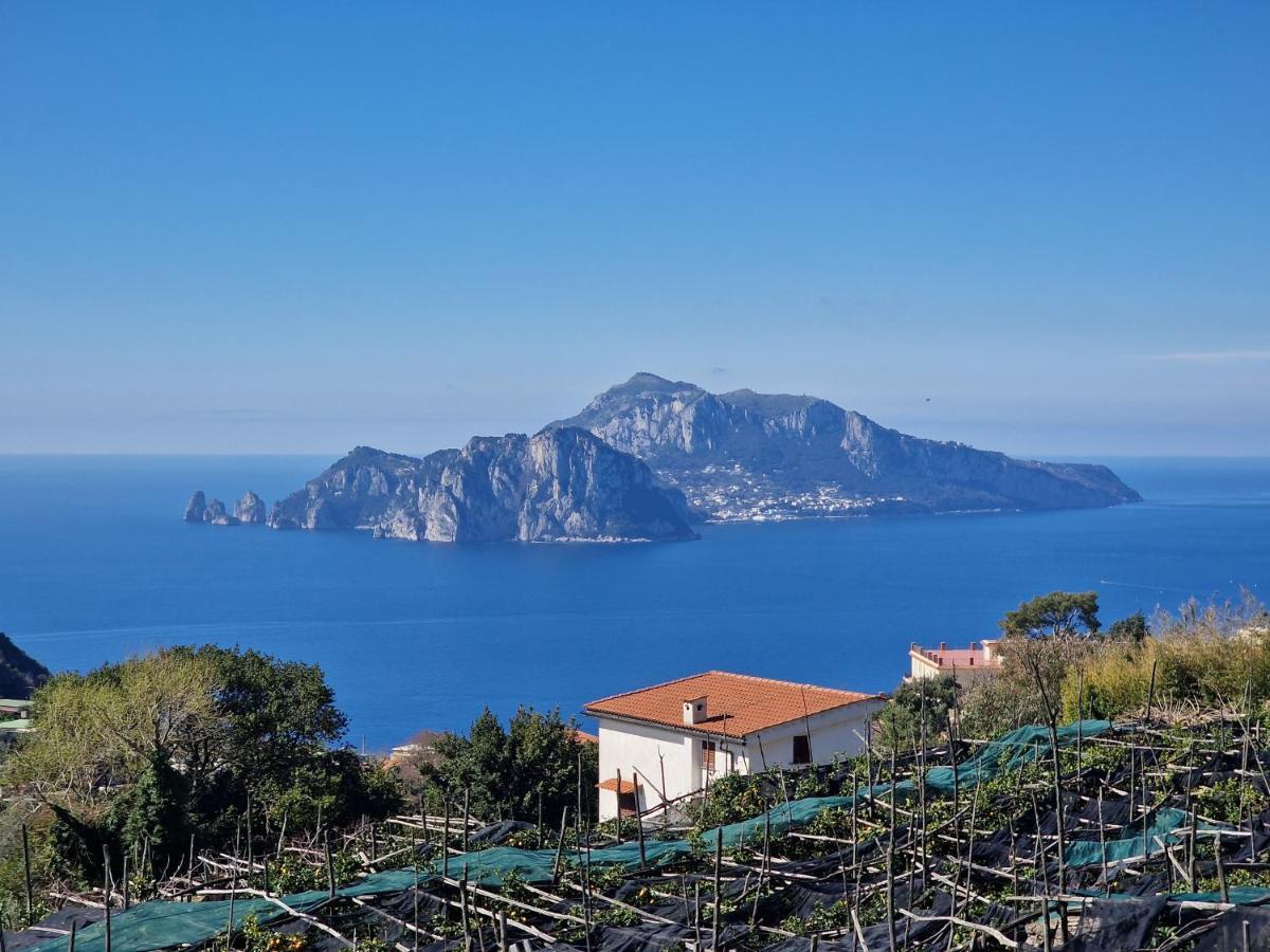 Vico Di Mare Apartment วีโกเอเกวนเซ ภายนอก รูปภาพ